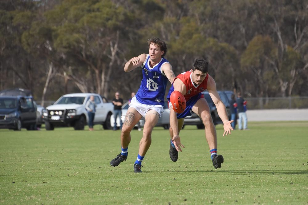 Magpies Soar as Tigers Tumble post image