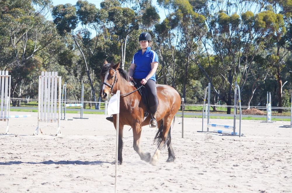 Buloke Equestrian Club August Rally post image