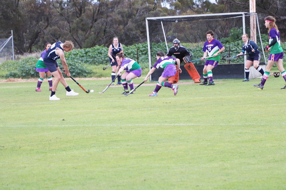 North-Central Hockey post image