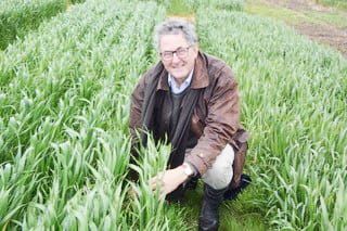 BCG’s Trial Review Day, Friday Next post image