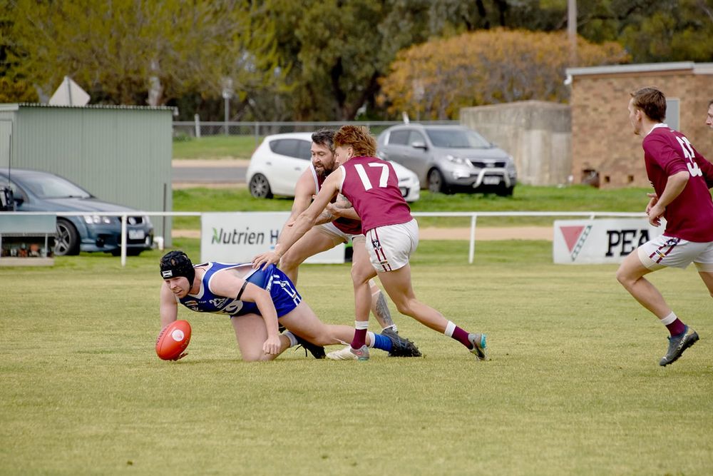 Donald Reserves Fall Well Short, but . . . Keep On Having a Go! post image