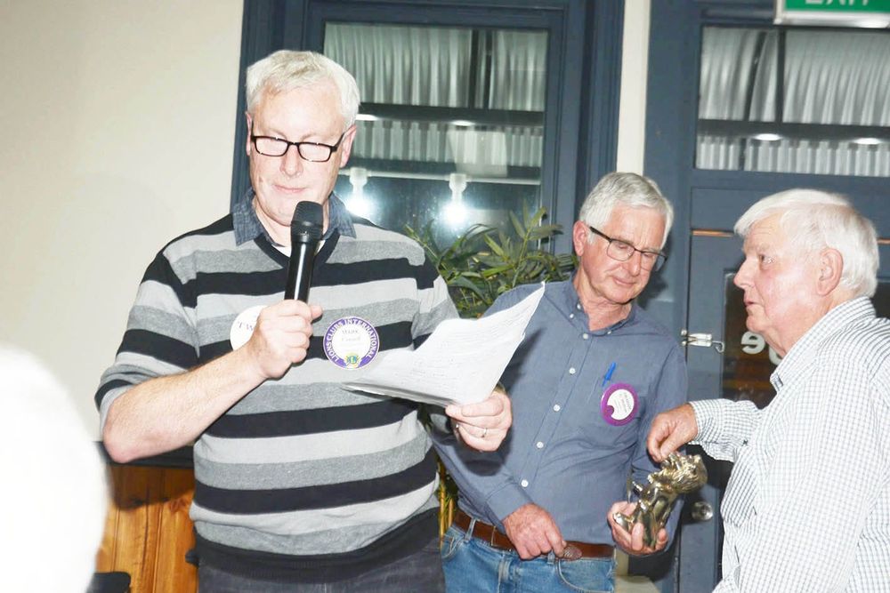 Local Lions Hit Sixty-five Years post image