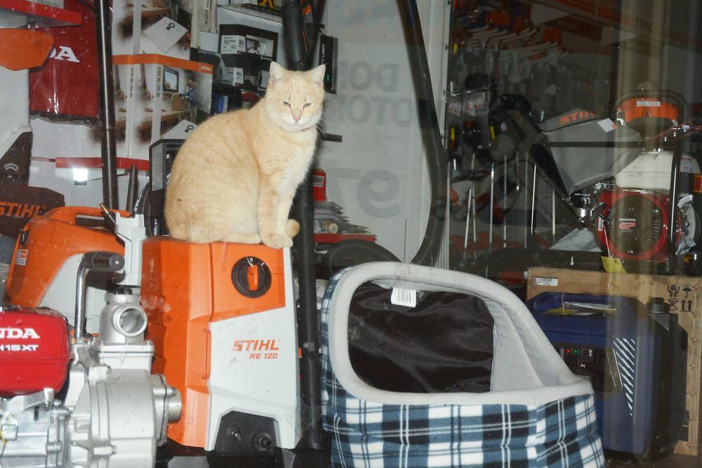 Tuesday, July 27, 2021 post image