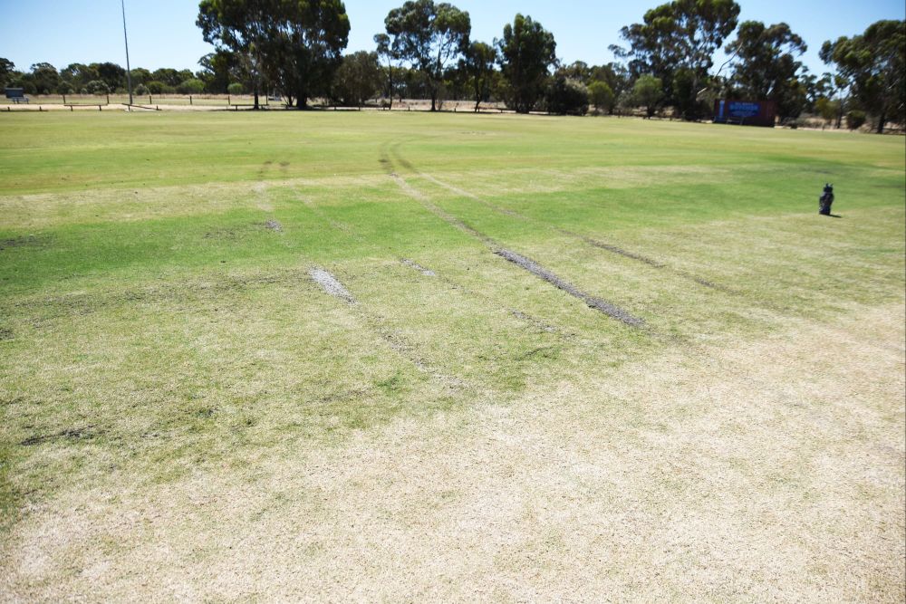 Senseless Skid Marks Scar Jeffcott Ground post image