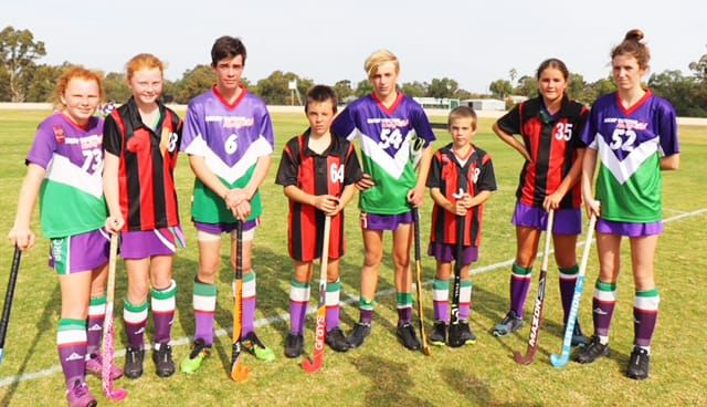 North-Central Hockey post image