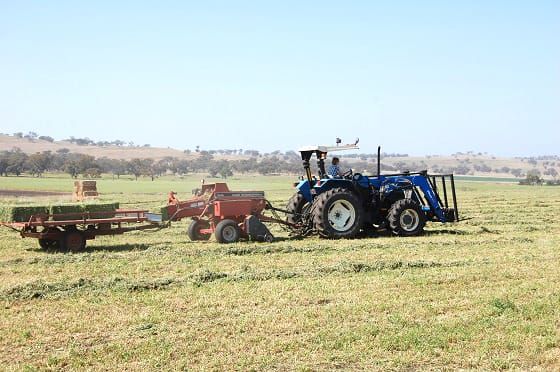 Making Quality Hay post image