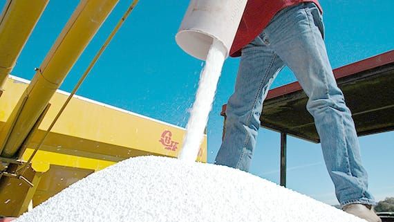 New Fertiliser Resources Amid Shortages post image