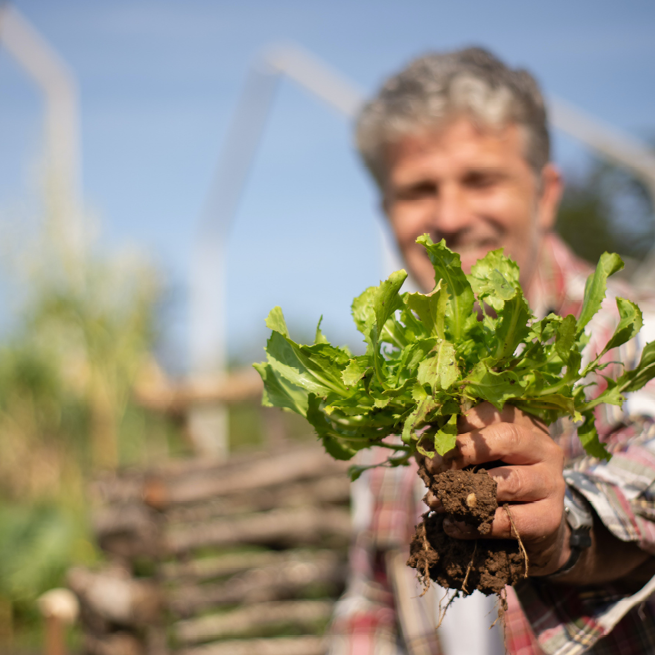 Big Boost for Victoria’s AgTech Industry post image