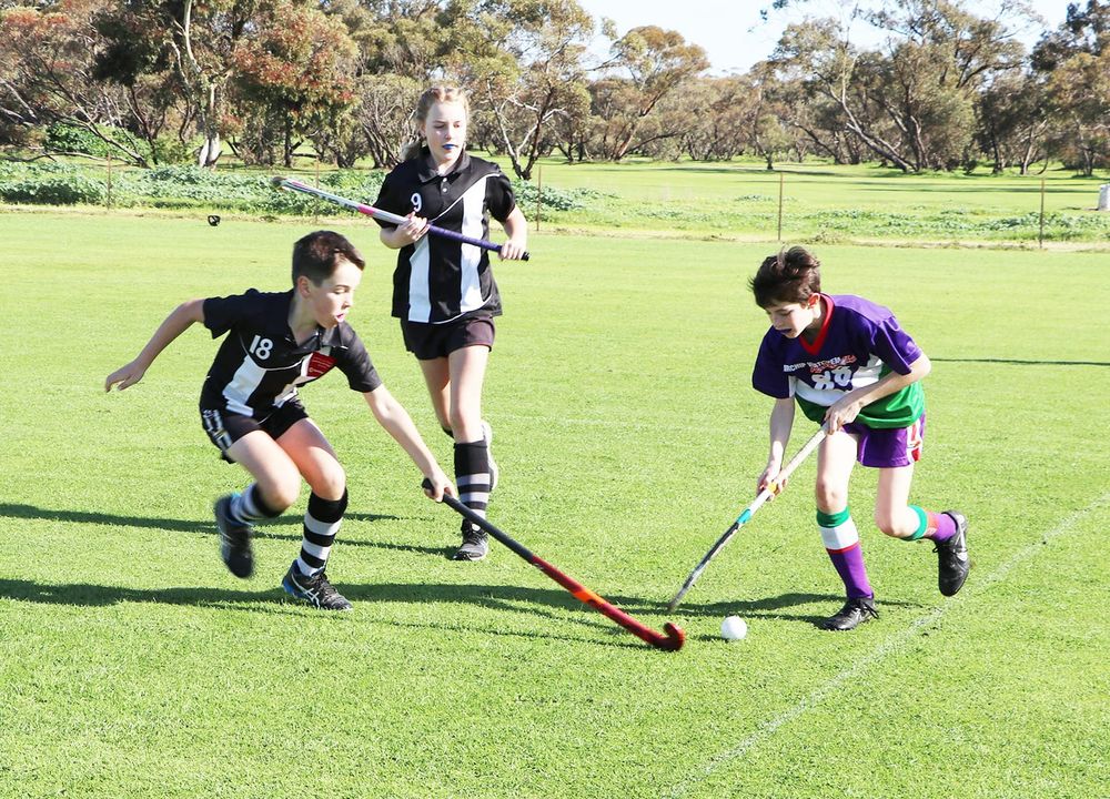 North-Central Hockey post image