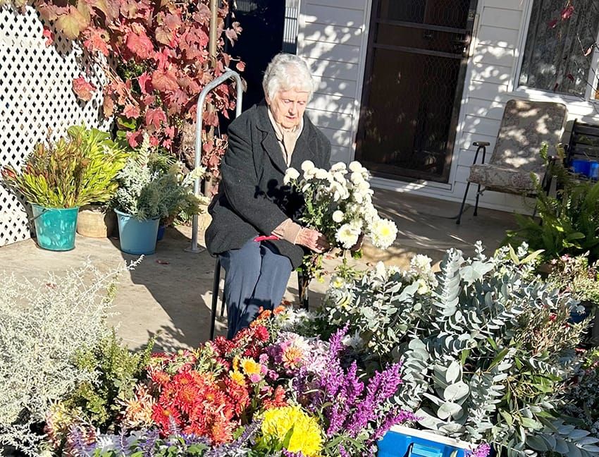 Shirley’s Passion is Blooming post image