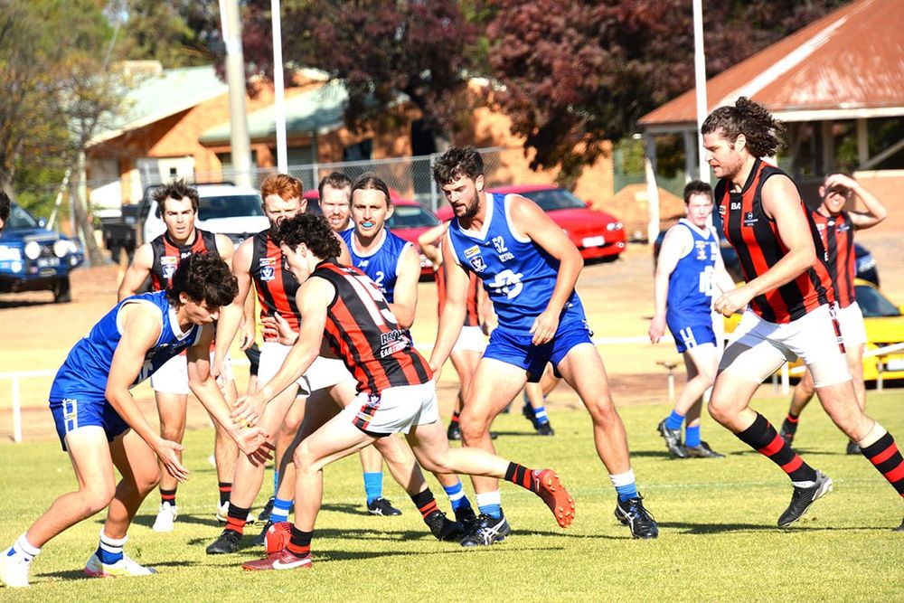 Redbacks Dominate Round Six post image