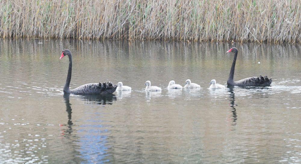 Friday, July 10, 2020 post image