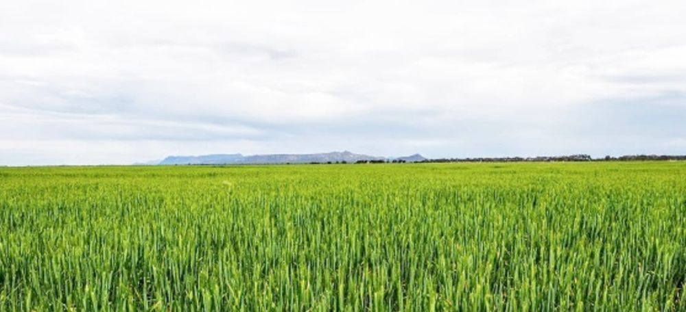 Innovative Recycled Water Project Gets Green Light post image