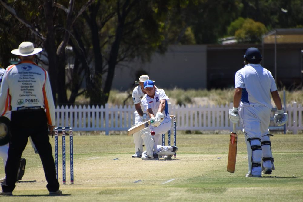 The Other Noah Would Be Impressed post image