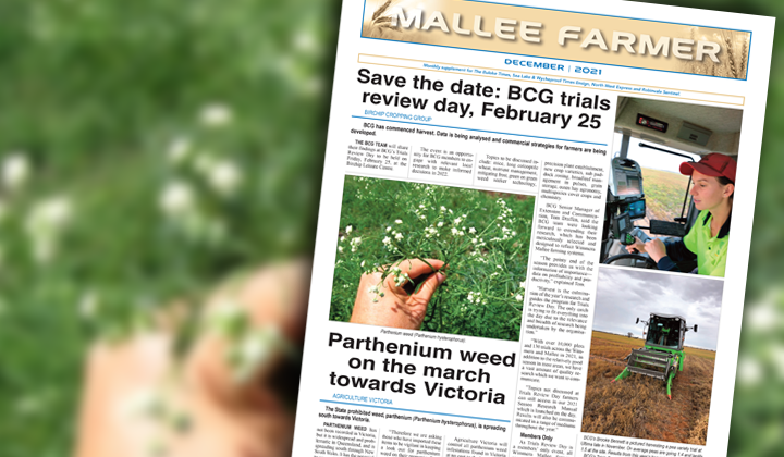 DECEMBER - Friday, December 3, 2021 post image