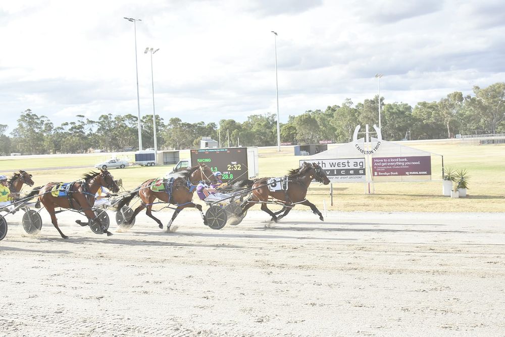 Multiple Wins To Lilley Stable post image