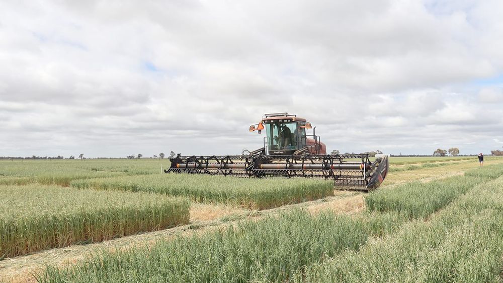 Producers Urged to Focus on Quality, Storage and Safety post image