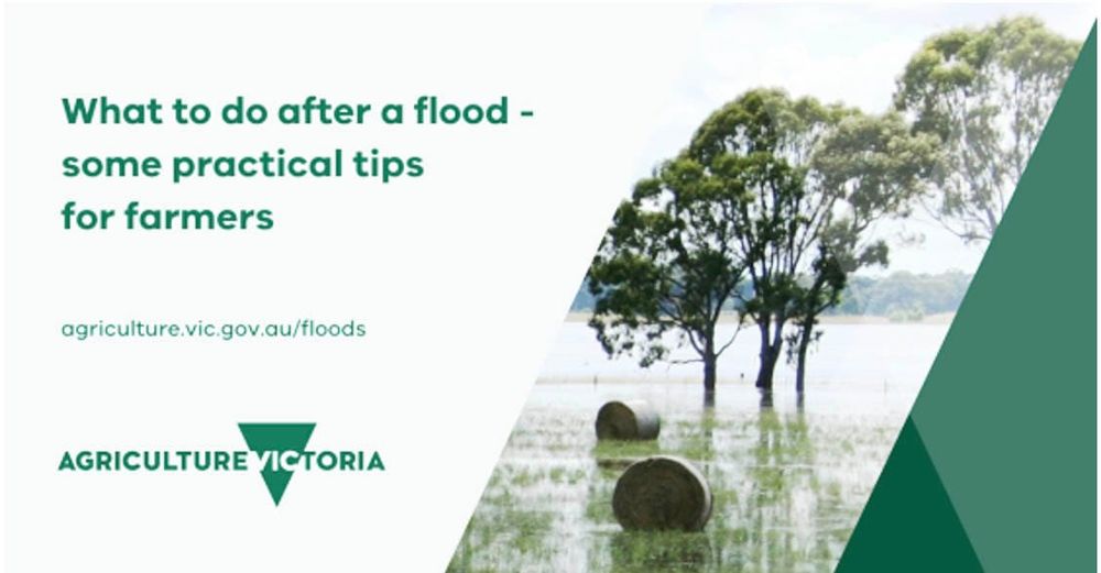 Flood information post image