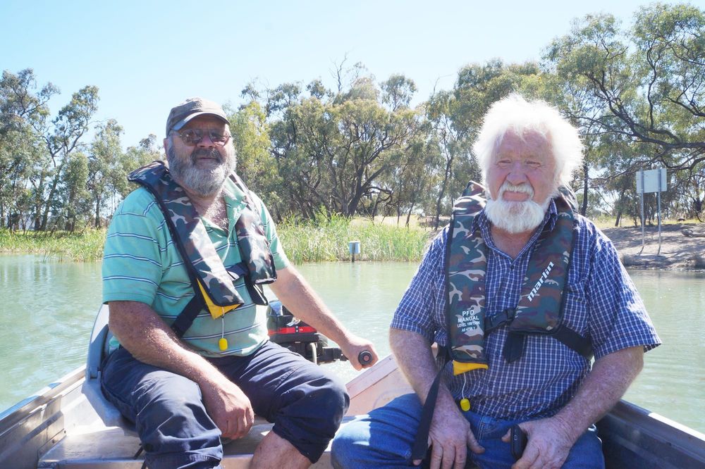Birdlife Boxes Installed post image