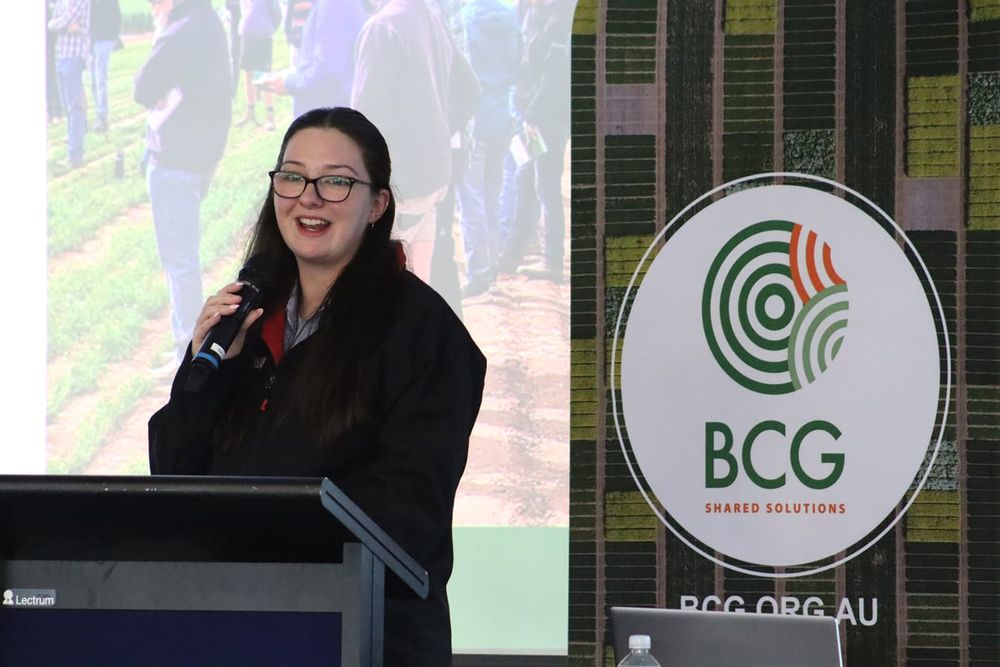 ChatBCG Launched post image