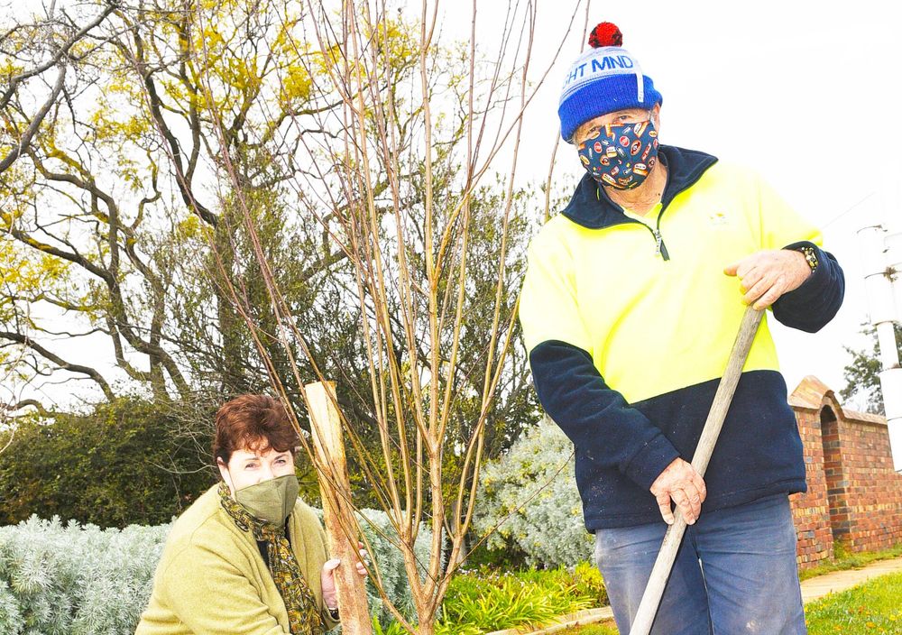 Progress Continues on Charlton Street Beautification post image