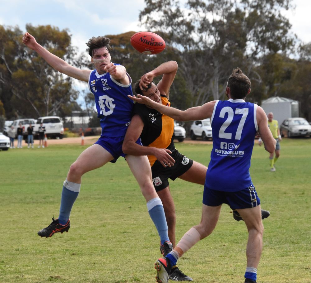 Tigers Reserves Through to Final post image