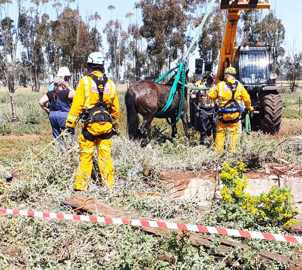 CFA Pulls Up Soxz post image