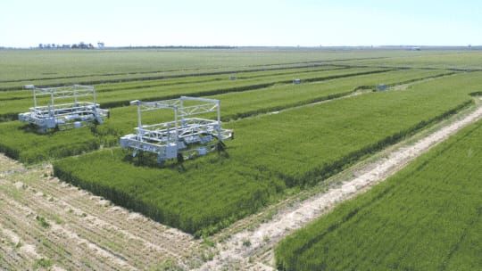 Turning up the Heat on Field Crop Research post image