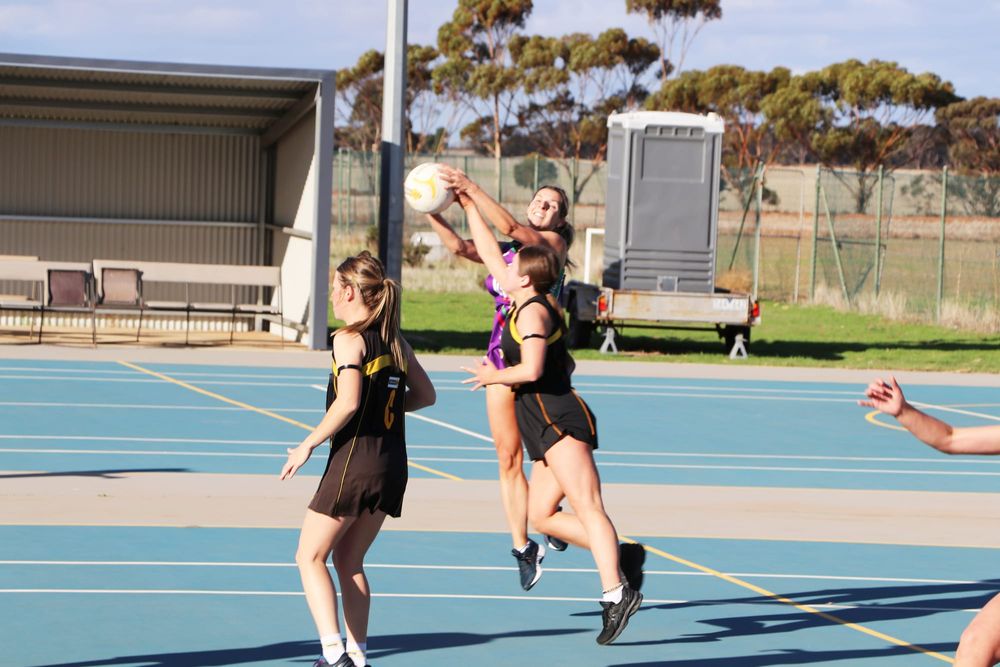 North-Central Netball post image