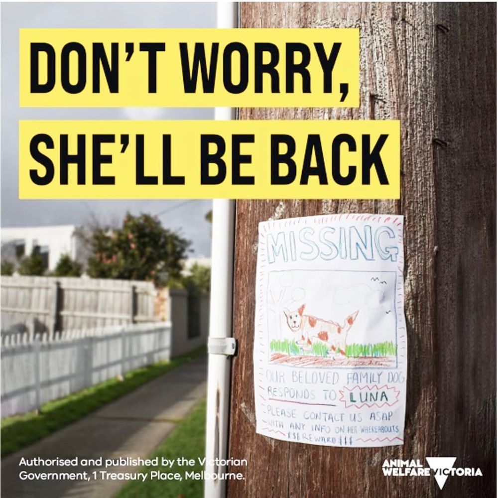 Educating Dog Owners on Confining Their Dog post image