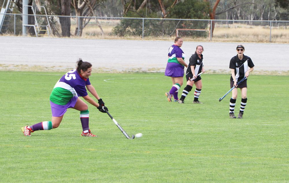 North-Central Hockey post image