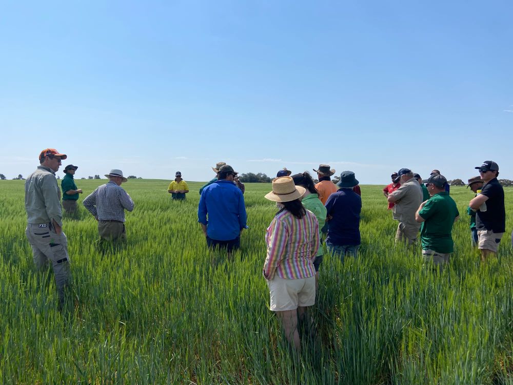 A Program Cultivating Farm Business Futures post image