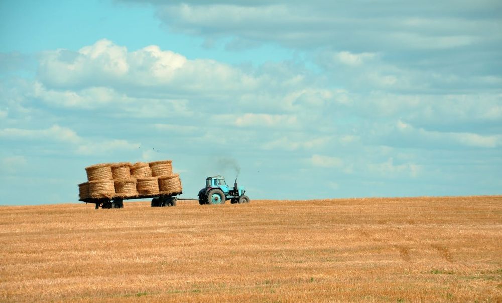 BCG Farm Expansion Day is Tuesday Next post image