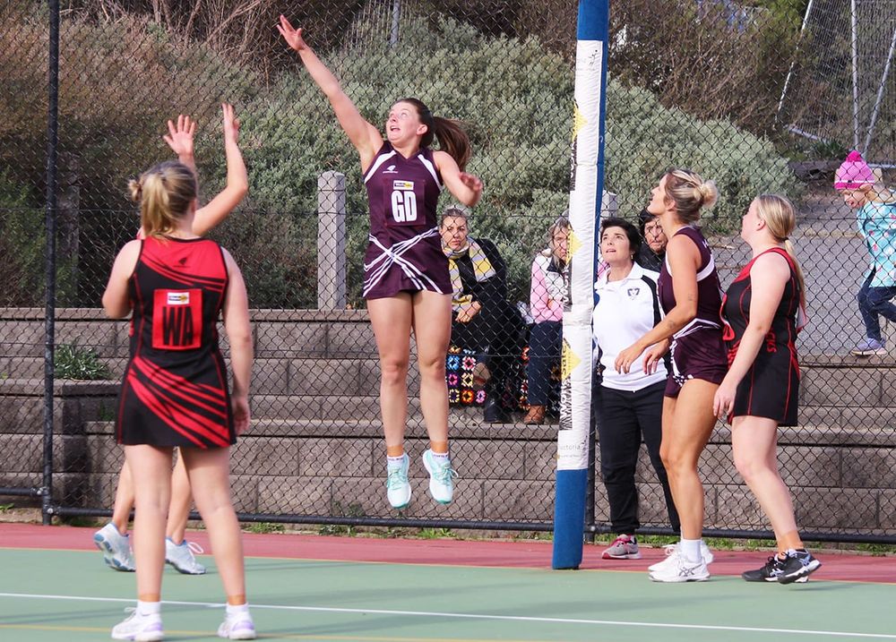 North-Central Netball post image