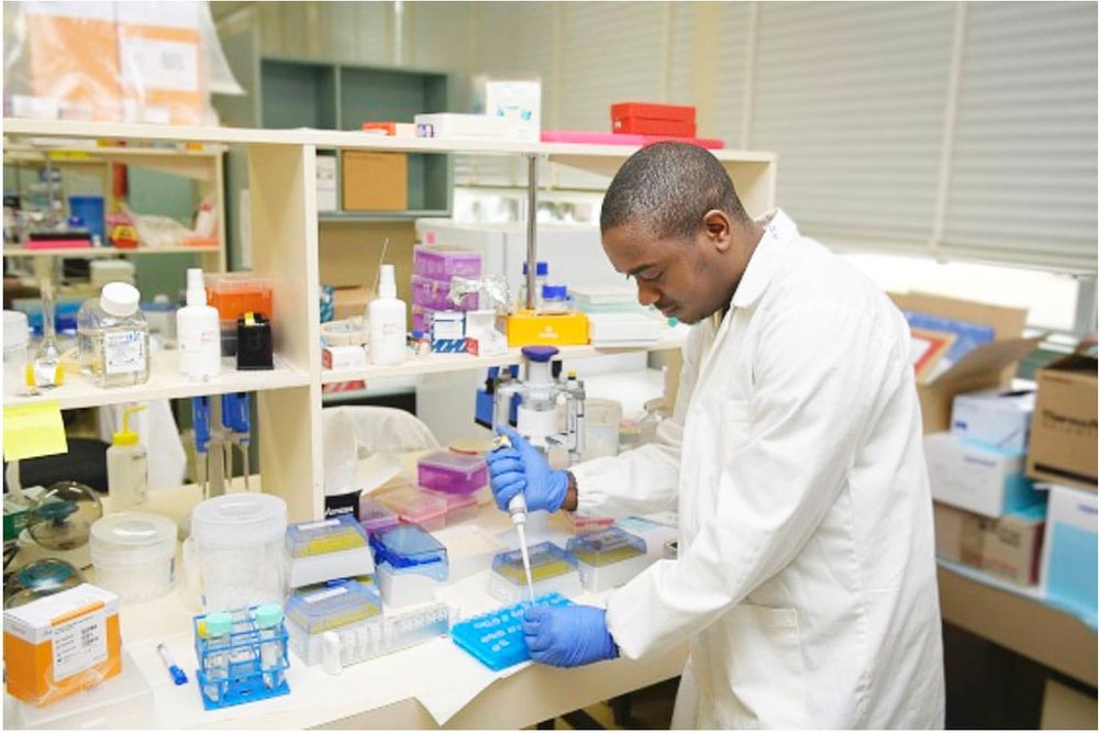 Safeguarding Seed at Grains Genebank post image