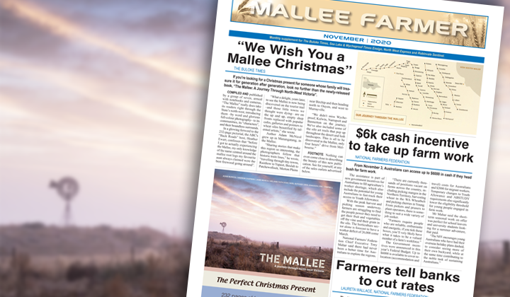 NOVEMBER - Friday, November 13, 2020 post image