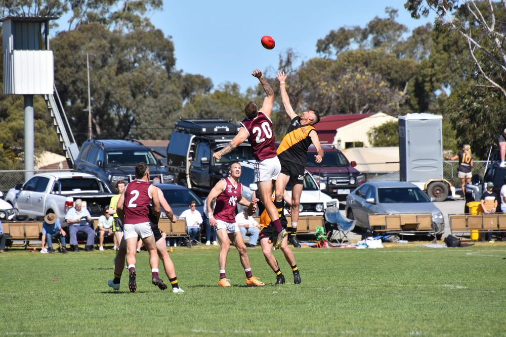 Tigers, Premiers and Champions post image