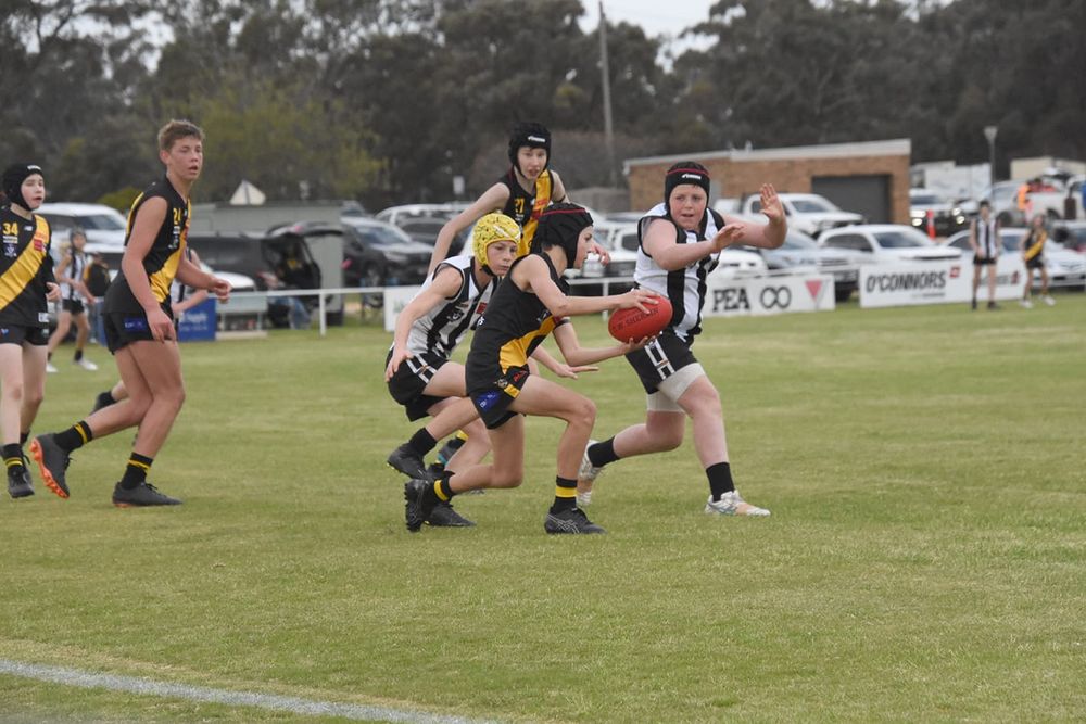 Tigers Under-14s Into Grand Final post image