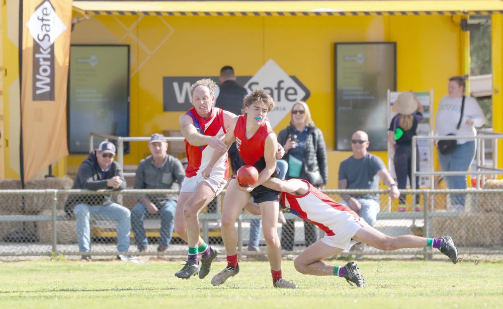 Demons Down Bulls Reserves post image