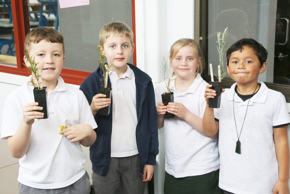 It’s Time to Plant a Tree post image