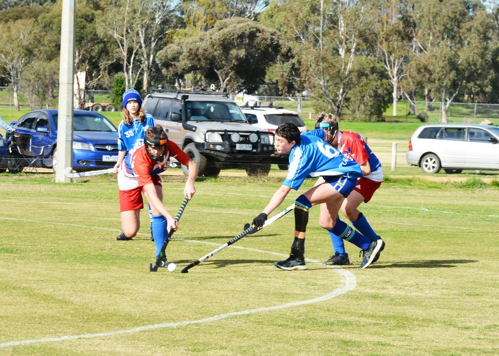 North-Central Hockey post image