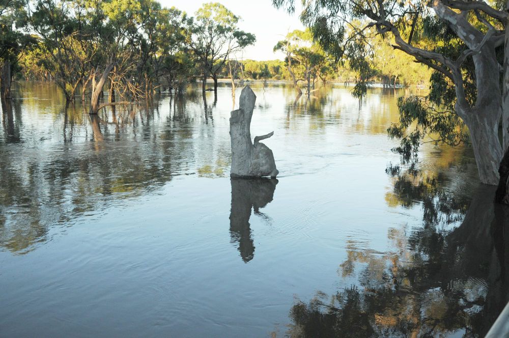 Richardson Riverscape Rearranged — New Lookout for Bullock’s Head post image