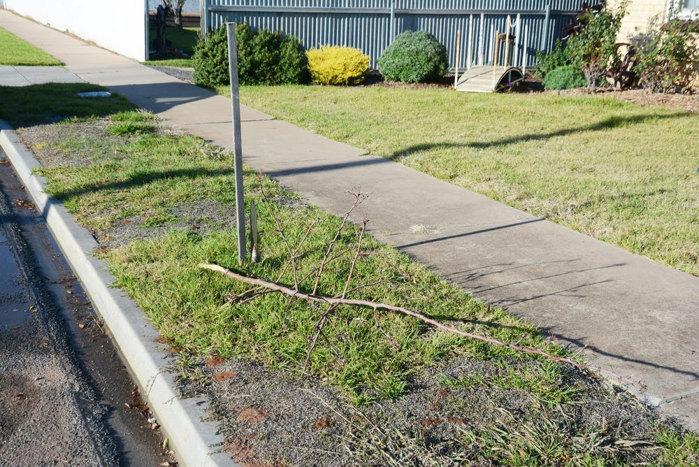 Senseless Vandalism post image