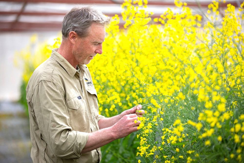 Dangers of Fungicide Overuse post image