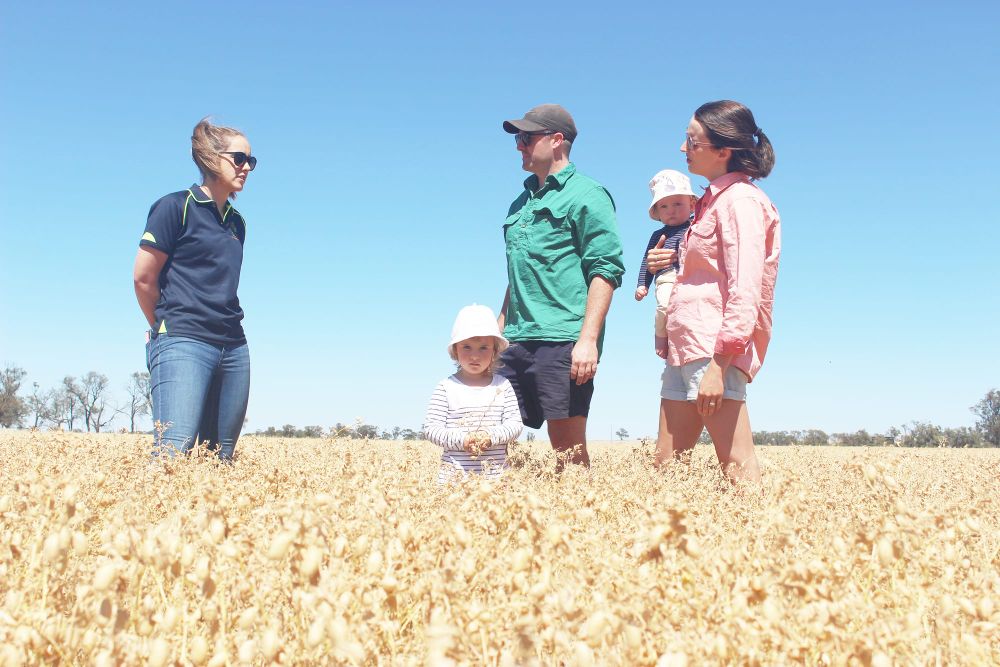 Drought Hub’s “a Better Way” post image