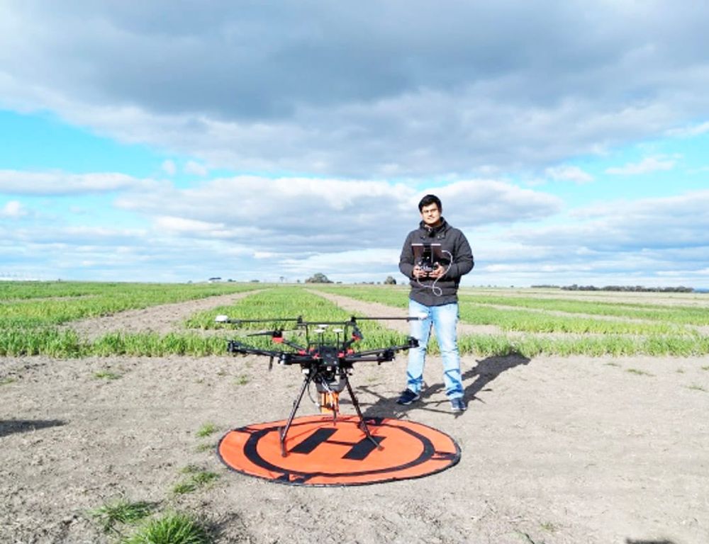 Accelerating Wheat Breeding post image