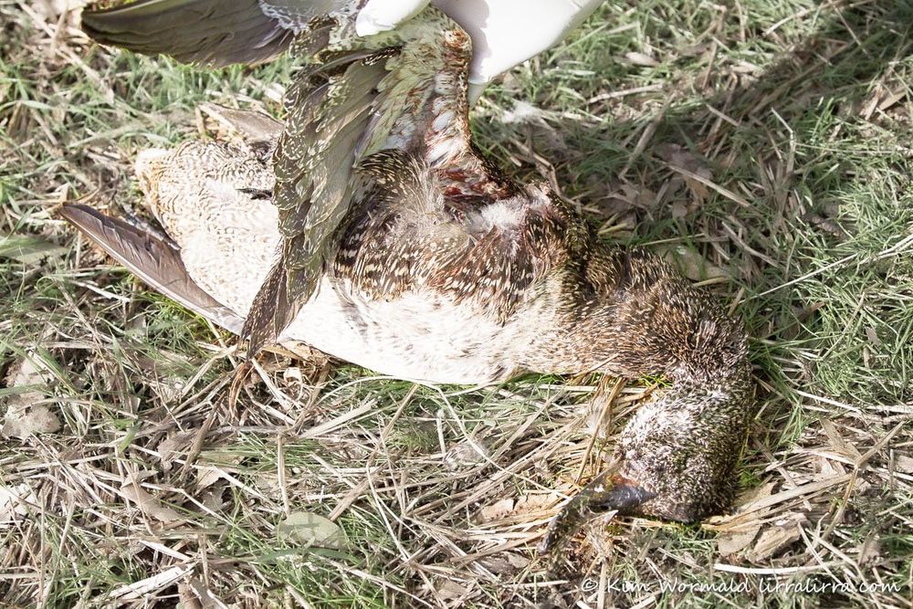 Dollars and Sense post image