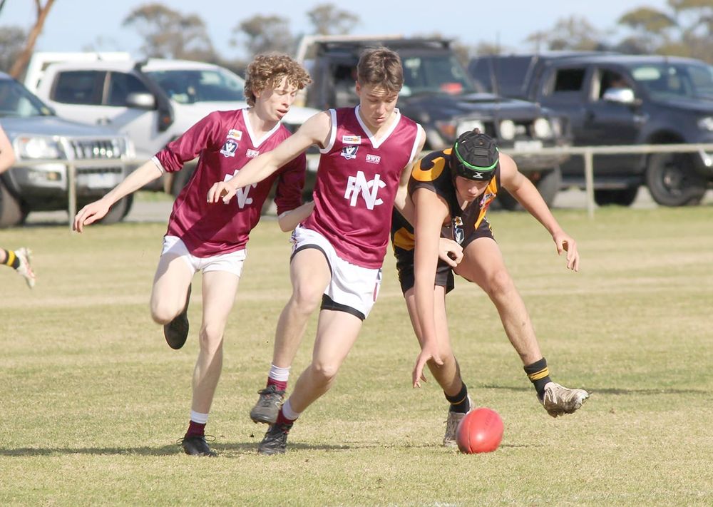 Maroons Host the Tigers post image