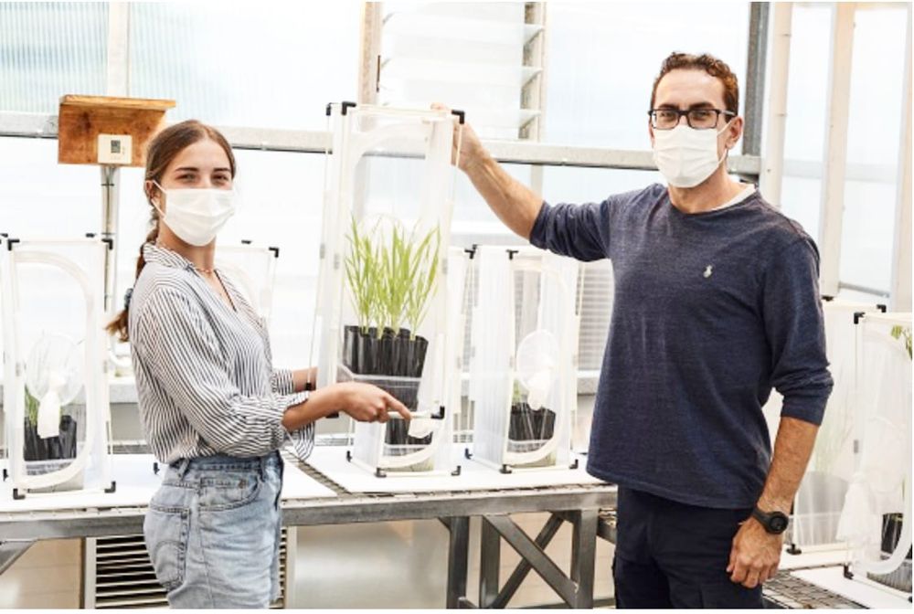 Future-Proofing Food from Pests and Climate Change post image