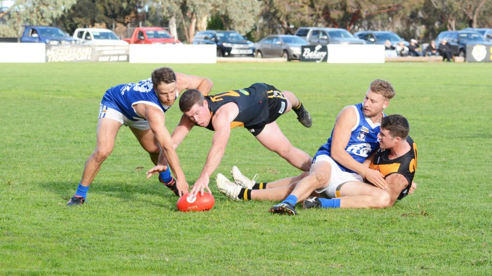 Reality Check for Royal Blues post image